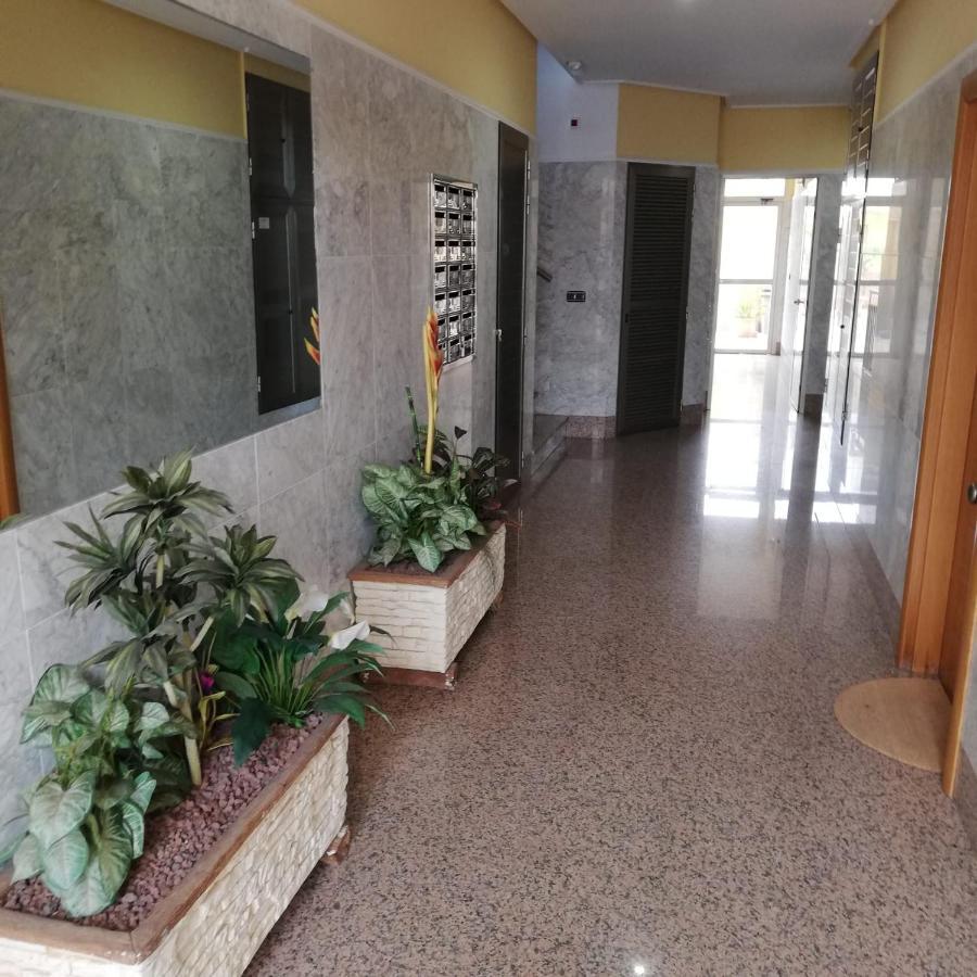 Apartamento A 50 Metros De La Playa Muchavista 엘 캄펠로 외부 사진